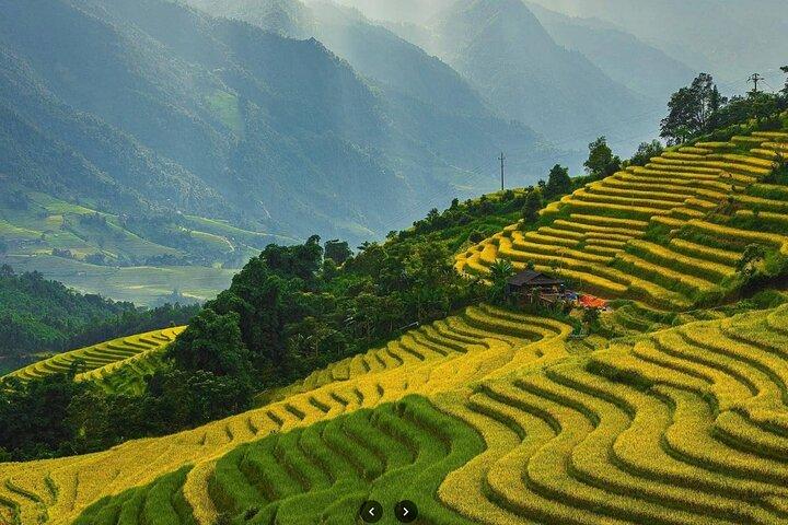 Sapa Half Day Private Car or Motorbike Customized Scenic Tour