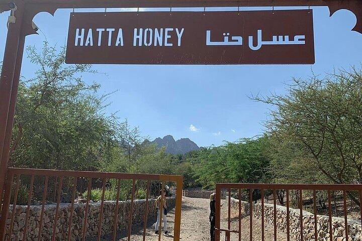 Hatta Private Day Trip