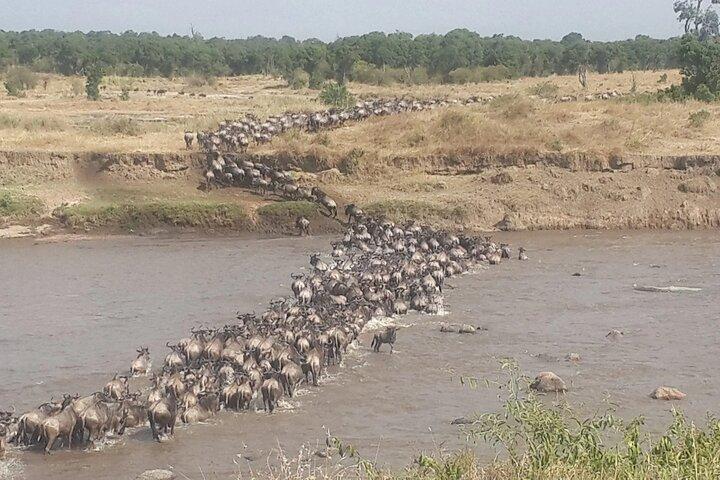 4 Day Fly-In Serengeti Safari and Scenic Drive-Out Adventure