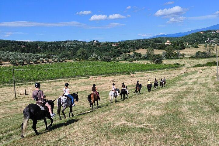 Horseback Riding in the Vineyards