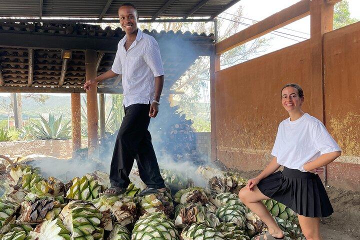 Oaxaca Countryside: Agave Fields & Mezcal