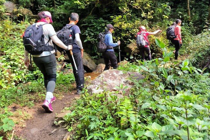 Ta Lien Son Forest Trek – 2-Day Adventure in Nature