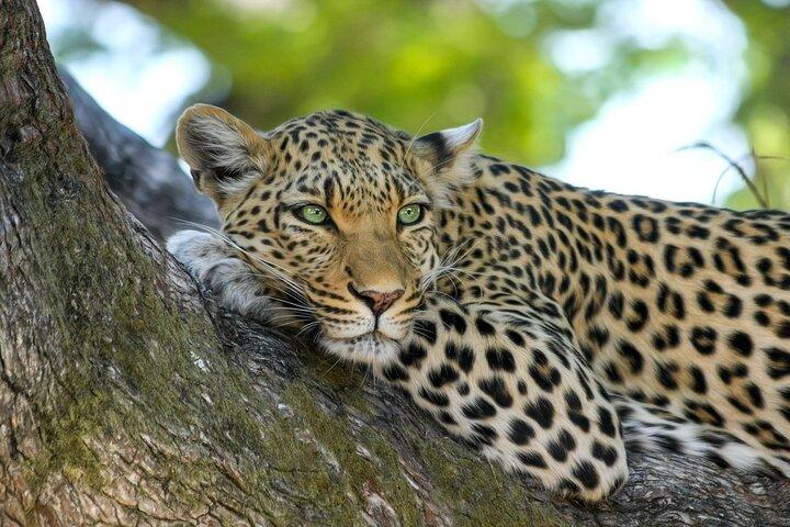 4 Day Affordable Northern Tanzania Camping Safari