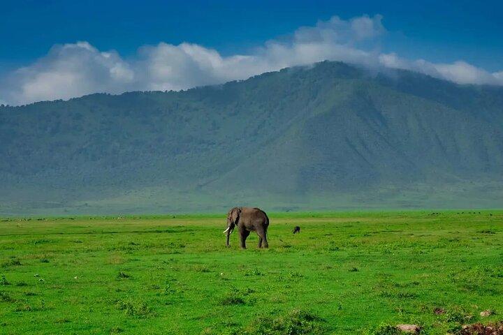 4 Day Affordable Northern Tanzania Camping Safari