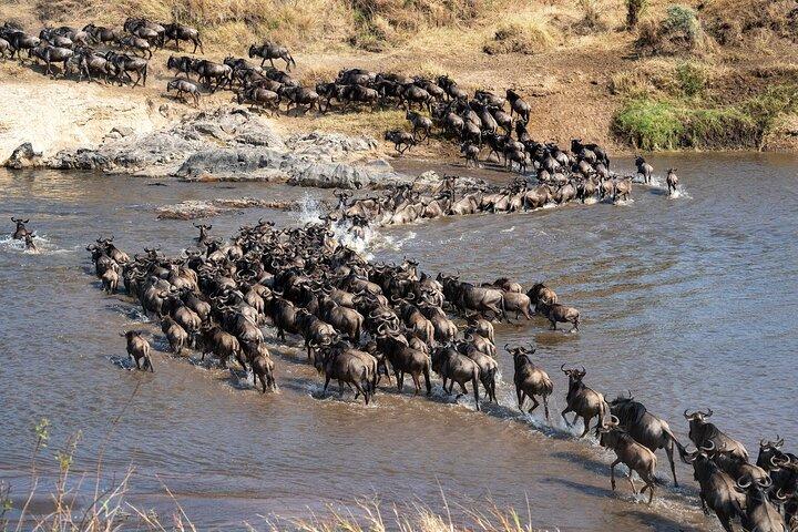 4 Day Affordable Northern Tanzania Camping Safari