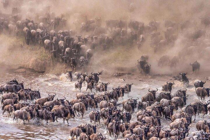 8 Day Perfect Tanzanian Safari Explore Northern Circuit