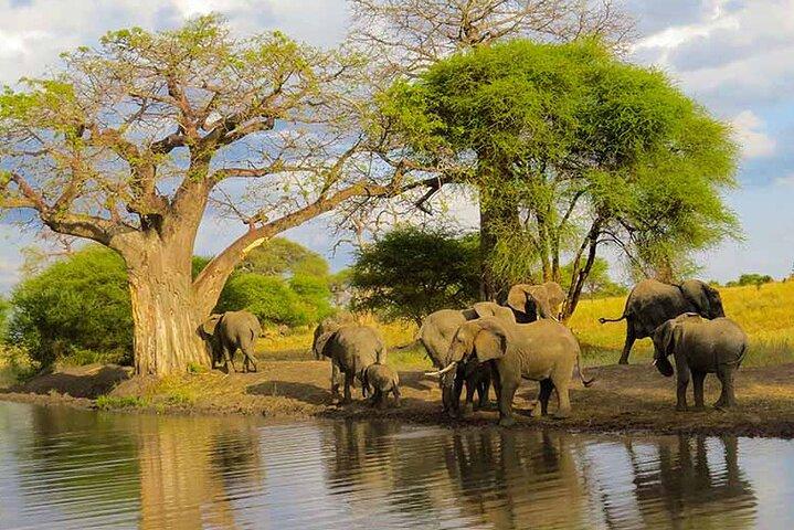 5 Days Mid Range Group Safari and Accommodations