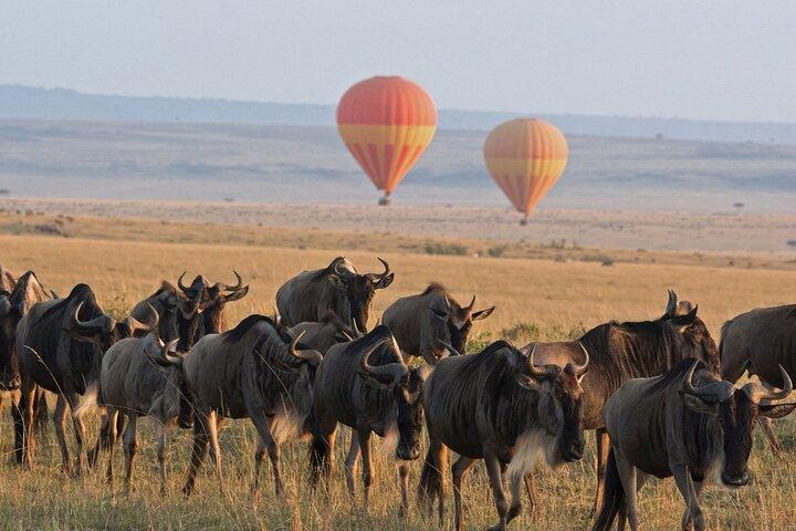 5 Days Mid Range Group Safari and Accommodations