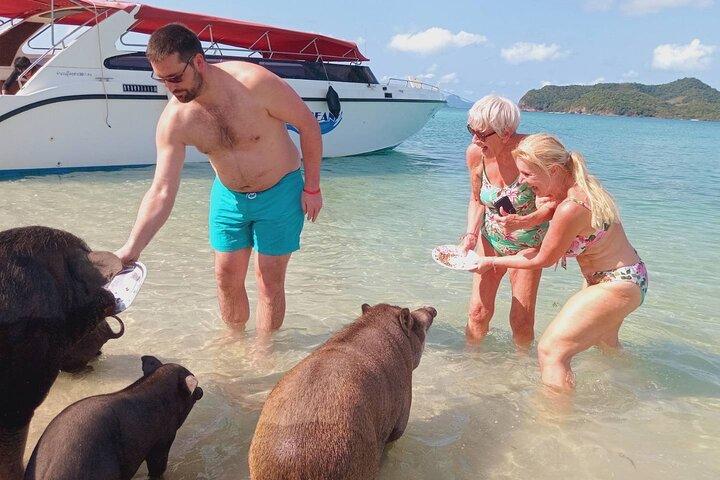Pink Dolphin & Pig Island with Snorkeling Full Day Experience