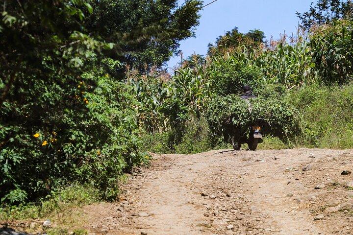 1 Day hike in rural Arusha