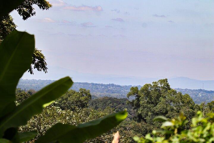 1 Day hike in rural Arusha