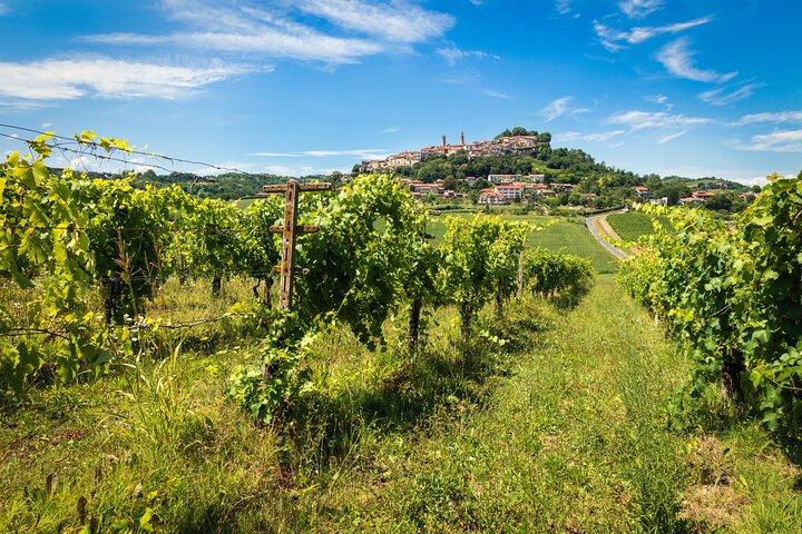 From Florence Chianti Wine Tour with Tastings Half Day