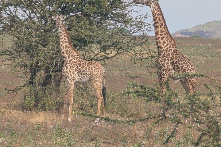 2 Day Cycling Adventure Ride Between Mt. Kili, Meru and Wildlife