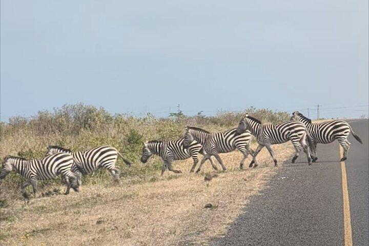 2 Day Cycling Adventure Ride Between Mt. Kili, Meru and Wildlife