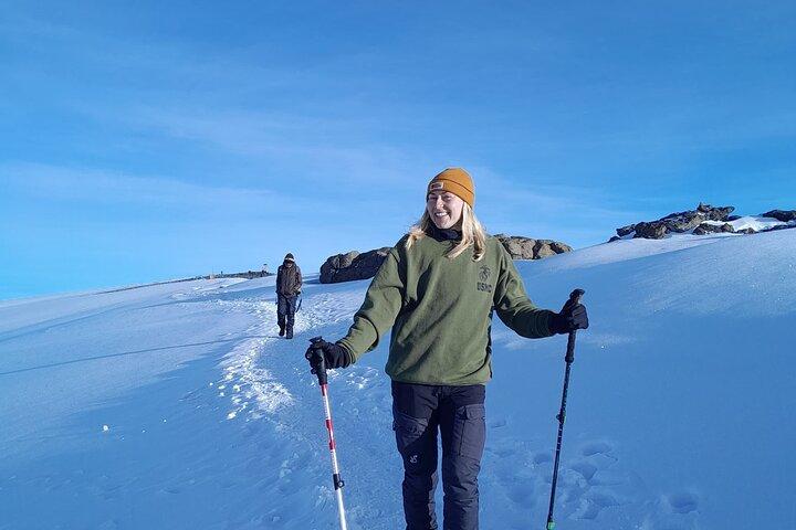 Kilimanjaro Group Trek Lemosho Route 8 Days