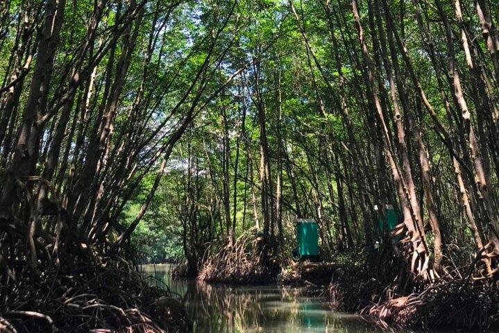 Private Tour Can Gio Mangrove Biosphere