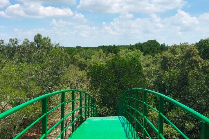 Private Tour Can Gio Mangrove Biosphere