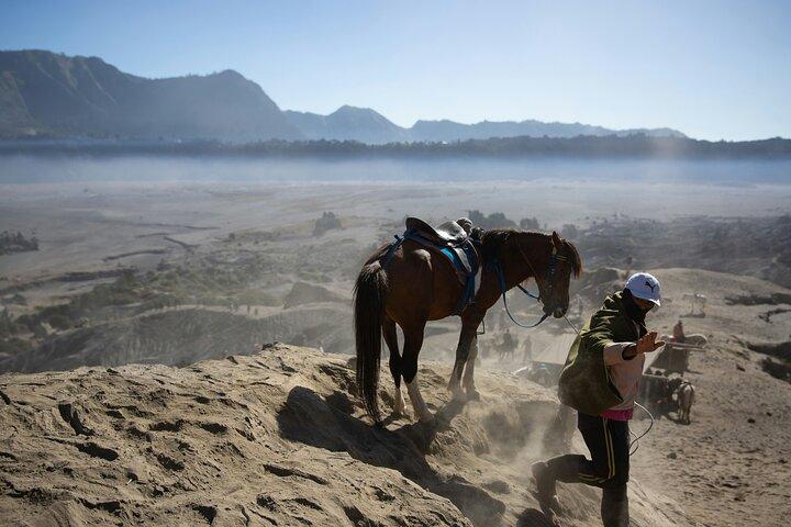 Mount Bromo Private Day Tour Experience Crater and Sunset Viewing