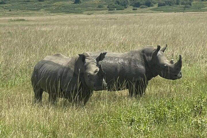 Akagera 1-Day Safari, Lake Ihema Boat Ride & Park Fees Included