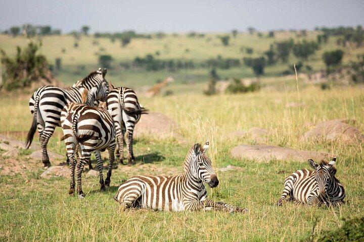 4-Day Group Tour Explore Tarangire, Serengeti and Ngorongoro
