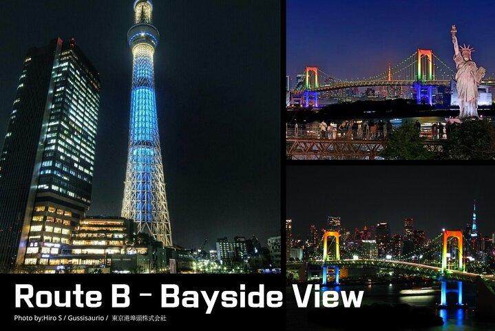 Tokyo City Lights Night Drive – 3-Hour Private Car Tour