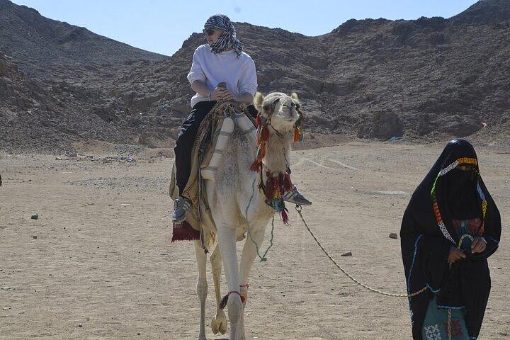 Desert Safari Tour by ATV Quad Bike and Camel Ride - Hurghada
