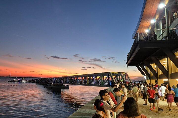 Manaus Private City Tour Amazonas Theater and the Hotel Pickup