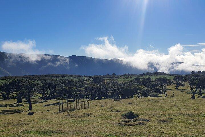 West Madeira Tour – Porto Moniz, Fanal Forest & Cabo Girão