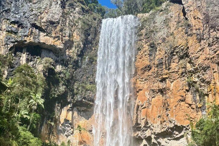 Koalas, 6 Springbrook Waterfalls and Natural Bridge Day Tour