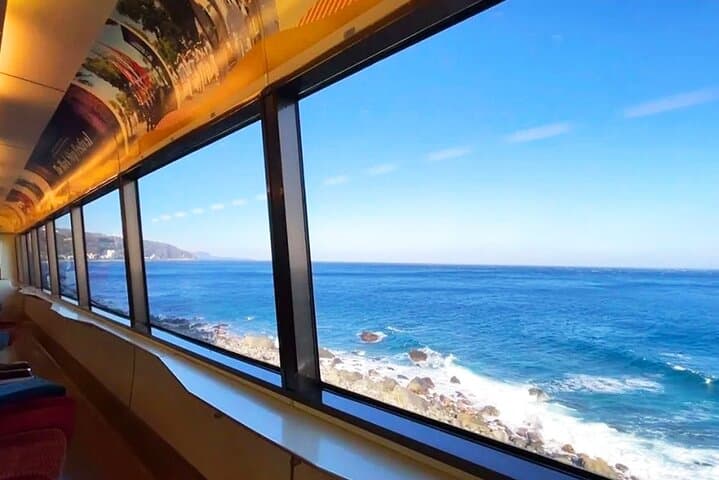 FromTokyo: Izu Scenic Oceanview Train, Volcano, Coast Day Trip