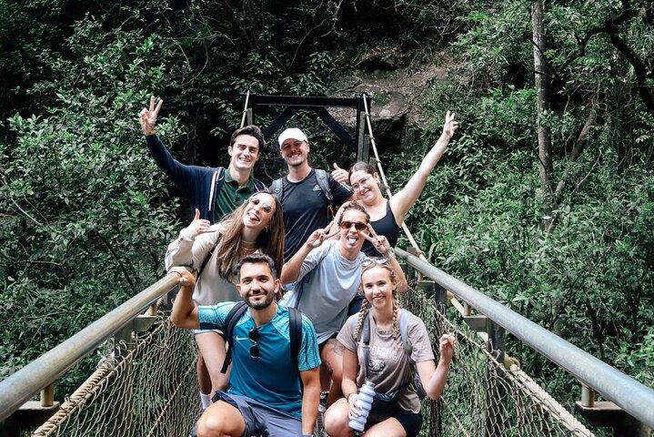 Koalas, 6 Springbrook Waterfalls and Natural Bridge Day Tour