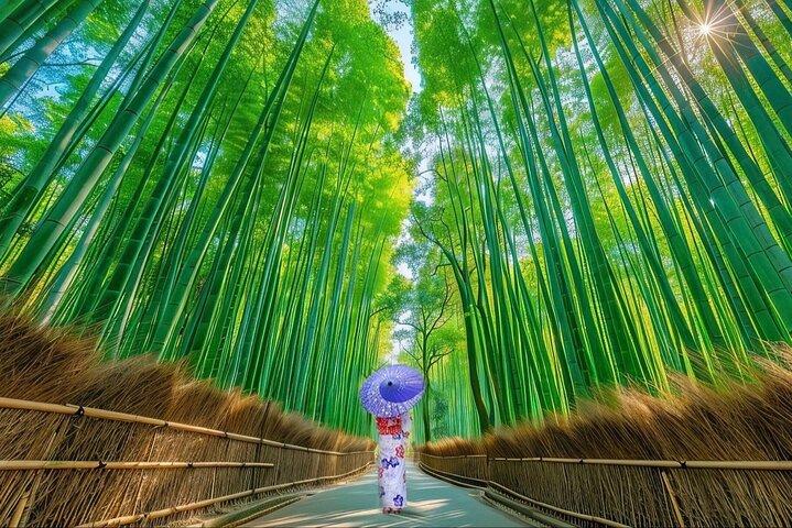 Kyoto Private Customized Day Tour with Guide