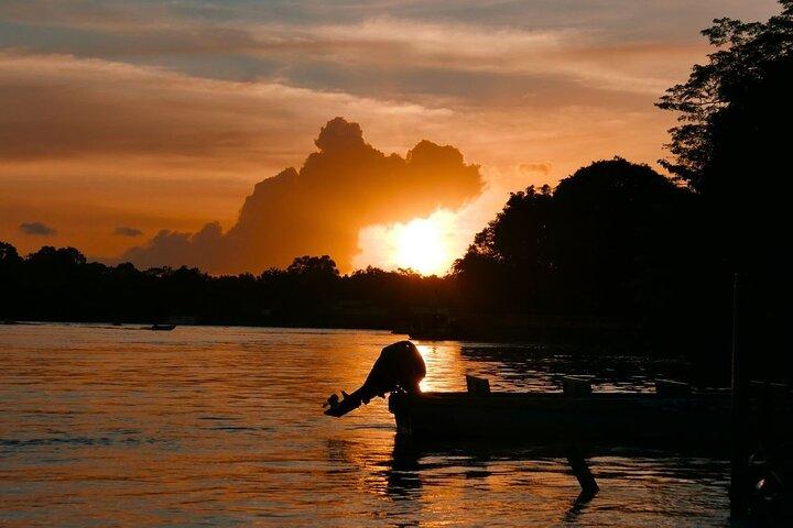 Kota Kinabalu Klias River Cruise with Dinner and Fireflies Tour