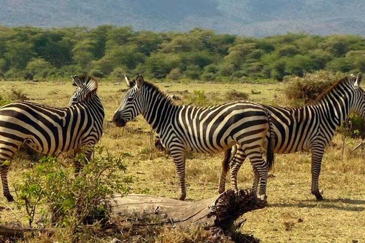 4 Days 3 nights Maasai Mara and Lake Nakuru Safari