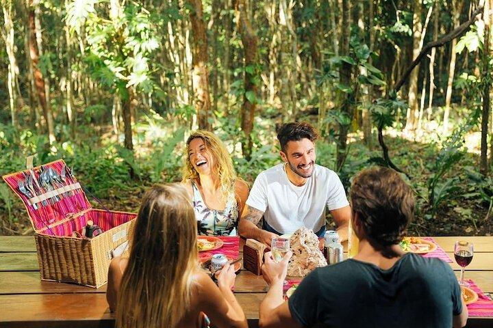 Xenotes Xcaret 4 Cenotes Adventure