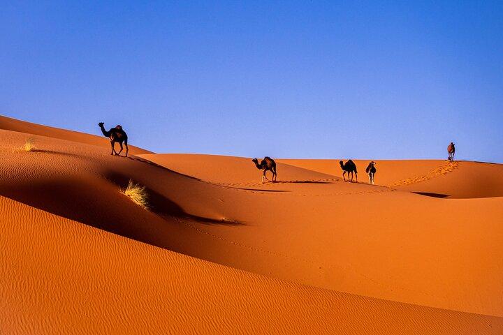 3 Day Marrakech to Merzouga Sahara Desert Tour with Camel Trek