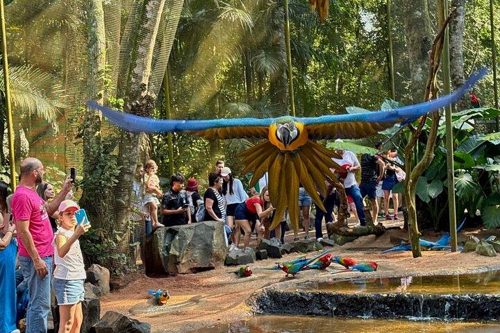 Iguazu Falls Brazil and Argentina 2 Days Tour