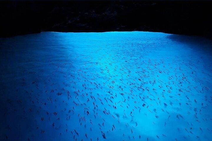 Blue and Green Caves boat tour from Dubrovnik Old City