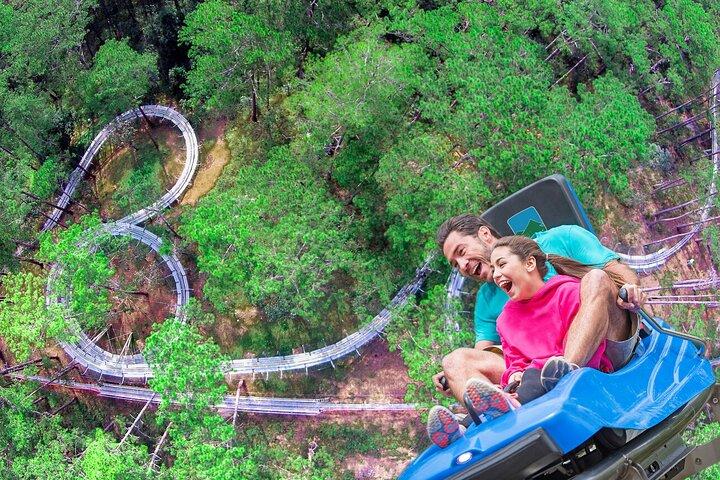 Datanla New Alpine Coaster Experience Pass in Vietnam