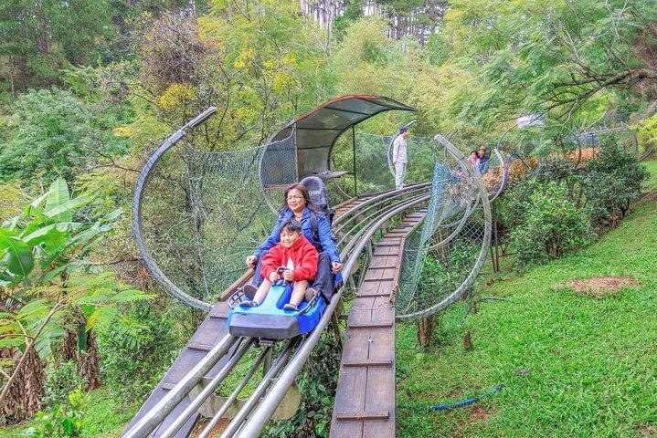 Datanla New Alpine Coaster Experience Pass in Vietnam