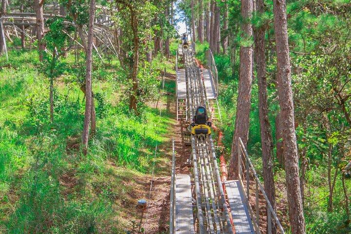 Datanla New Alpine Coaster Experience Pass in Vietnam