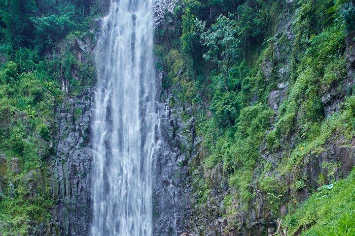 Materuni Waterfalls(90m high) & Coffee Cultural Tour Experiences