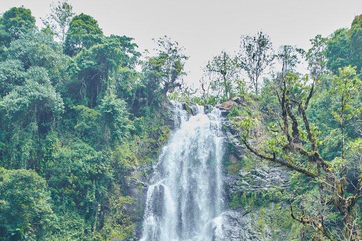 Materuni Waterfalls(90m high) & Coffee Cultural Tour Experiences