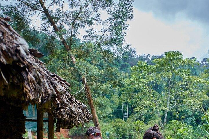 Materuni Waterfalls(90m high) & Coffee Cultural Tour Experiences