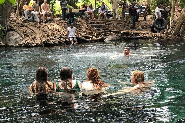 Kikuletwa Hot Springs Day Trip from Moshi or Arusha
