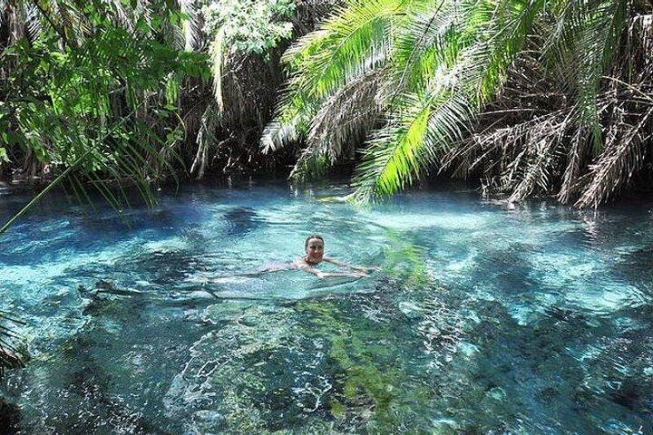 Kikuletwa Hot Springs Day Trip from Moshi or Arusha
