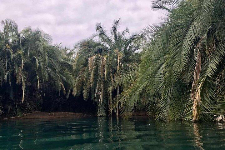 Kikuletwa Hot Springs Day Trip from Moshi or Arusha