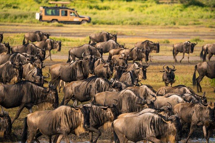 6-Day Ngorongoro, Serengeti & Tarangire NP Budget Tour