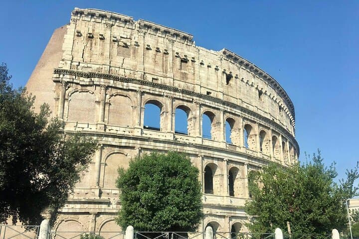 Colosseum, Roman forum, palatine Hill 1 hour tour English/Spanish