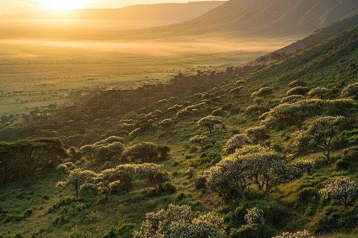 5 Day Camping Safari at Lake Manyara, Serengeti and Ngorongoro